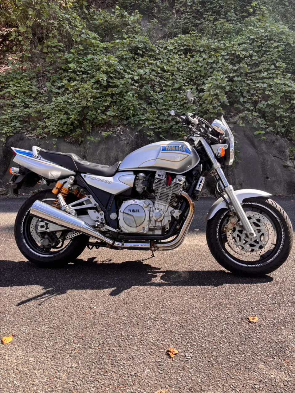 🏍️入庫しました！